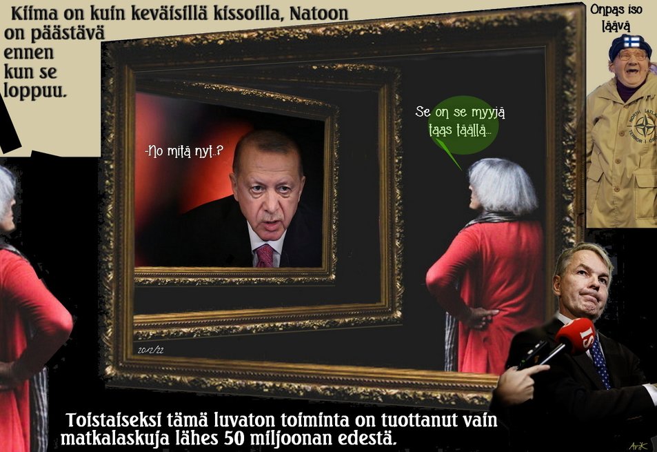 Erdogan, Kiimainen kissa, Nato hakemus, Haavisto, Matkalasku