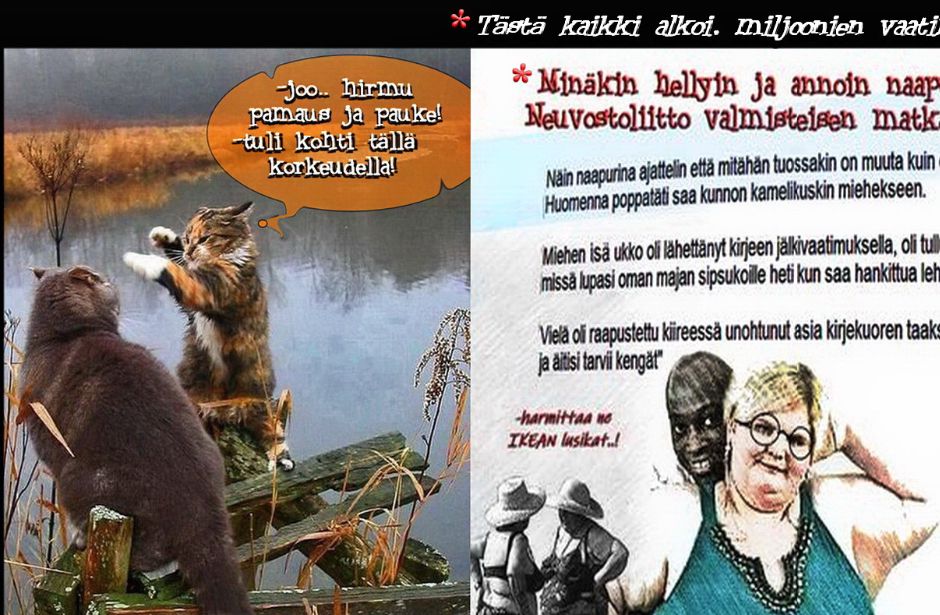 Ei kaikilla riitä aivokapasiteetti ymmärtämään huumoria. Joka juttu otetaan todesta, sehän laskee keski ikää!
