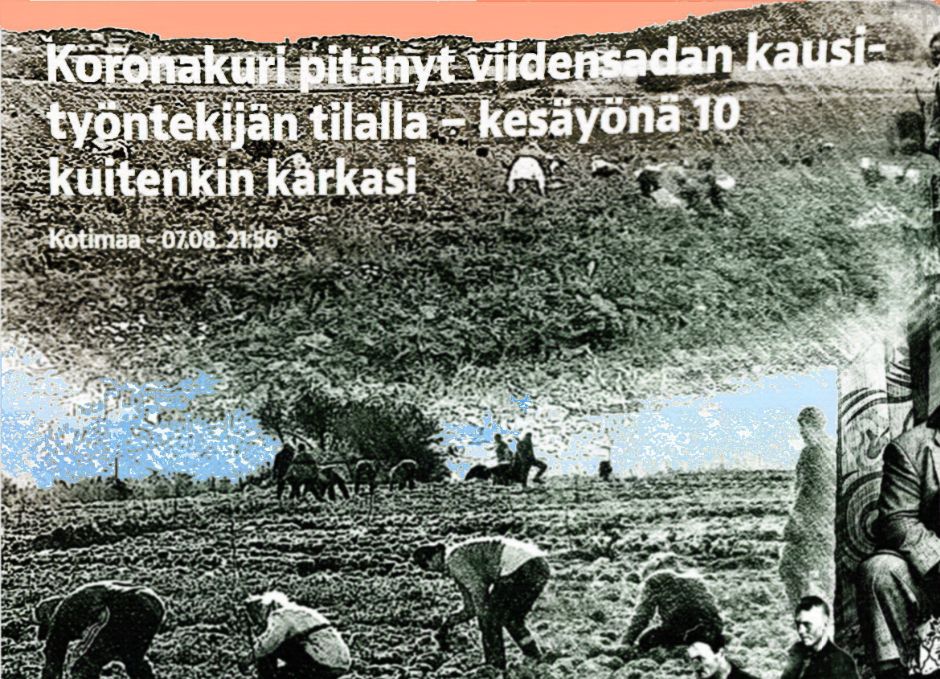Ja Saarikko jatkaa, houkuttelemme kaikki parhaat tänne verovapaalla palkalla, ja ilmaisella aamupalalla.

